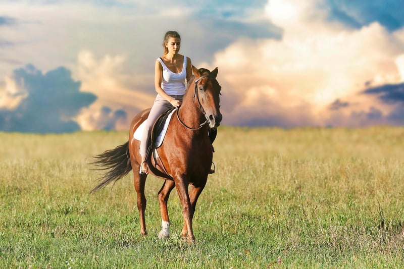 Knight on Horseback